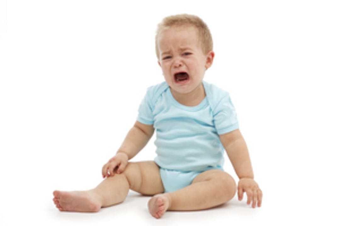 Traumer_w300__c10741cb83c91bf03c02cd25a7e04a8e